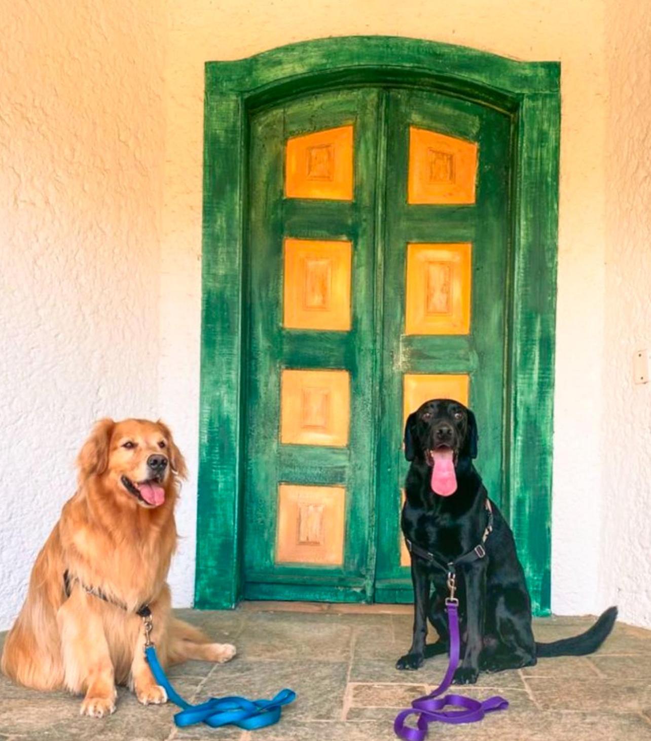 Hotel Casa Paradiso *