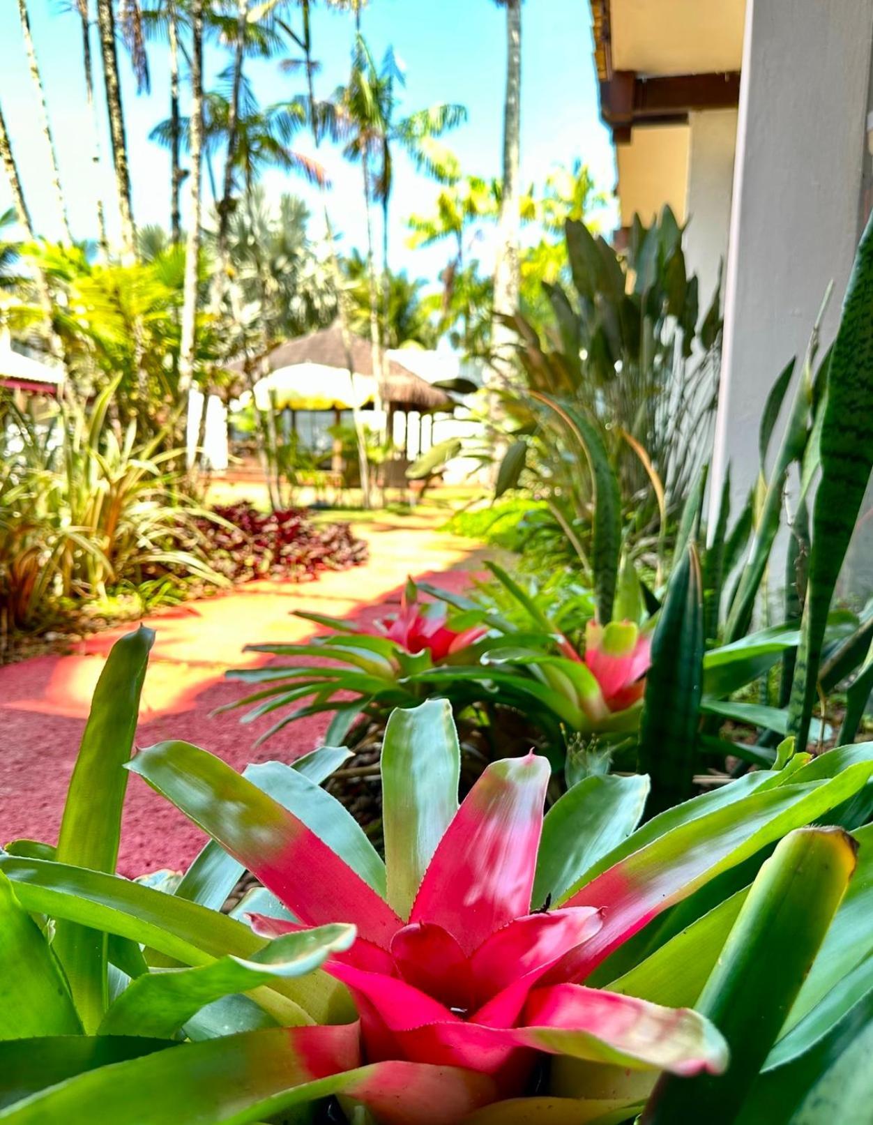 Casa Paradiso Hotel Guarujá
