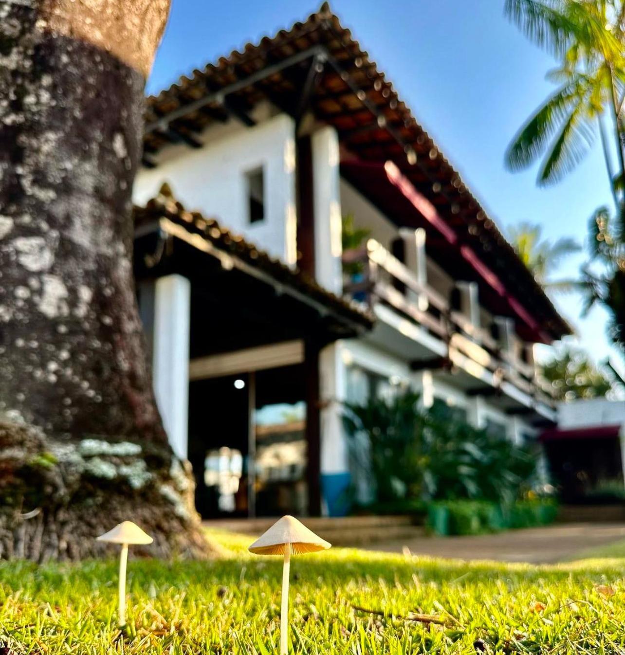 Casa Paradiso *